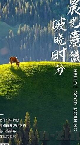 901足球比分-901足球比分，数字背后的热血与激情，解码绿茵场上的风云变幻
